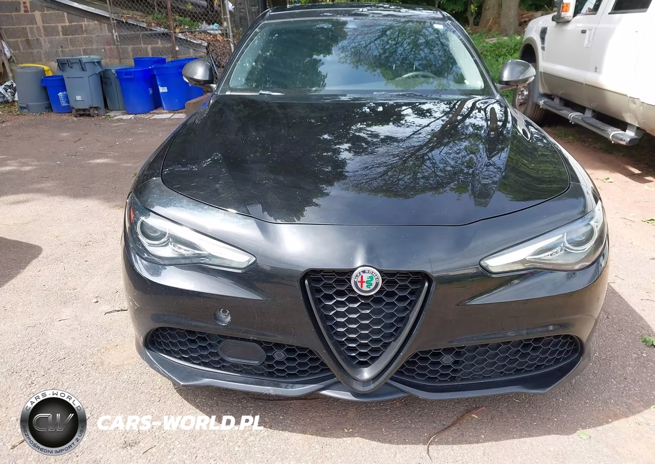 2019 Alfa Romeo Giulia Sport Awd VIN:ZARFANAN5K7608210 - 12