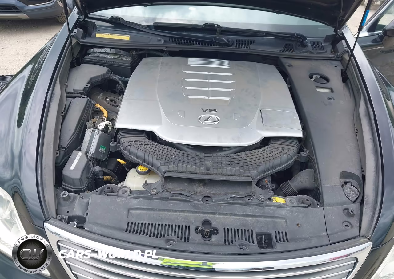 2009 Lexus Ls 460 VIN:JTHBL46FX95085222 - 10
