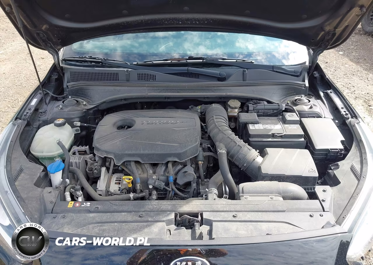 2021 Kia Forte Gt VIN:3KPF44AC3ME272134 - 10