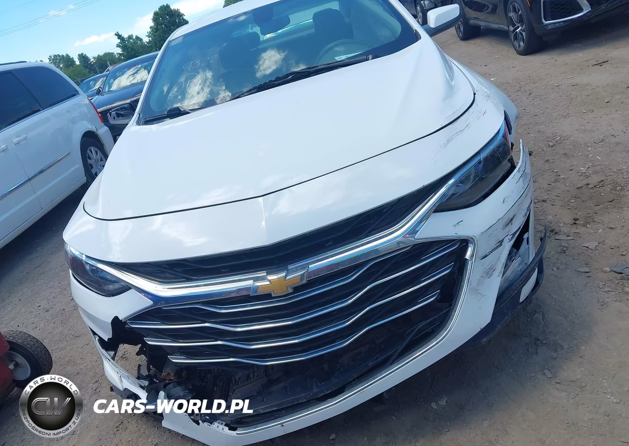 2019 Chevrolet Malibu Lt VIN:1G1ZD5ST0KF119322 - 12