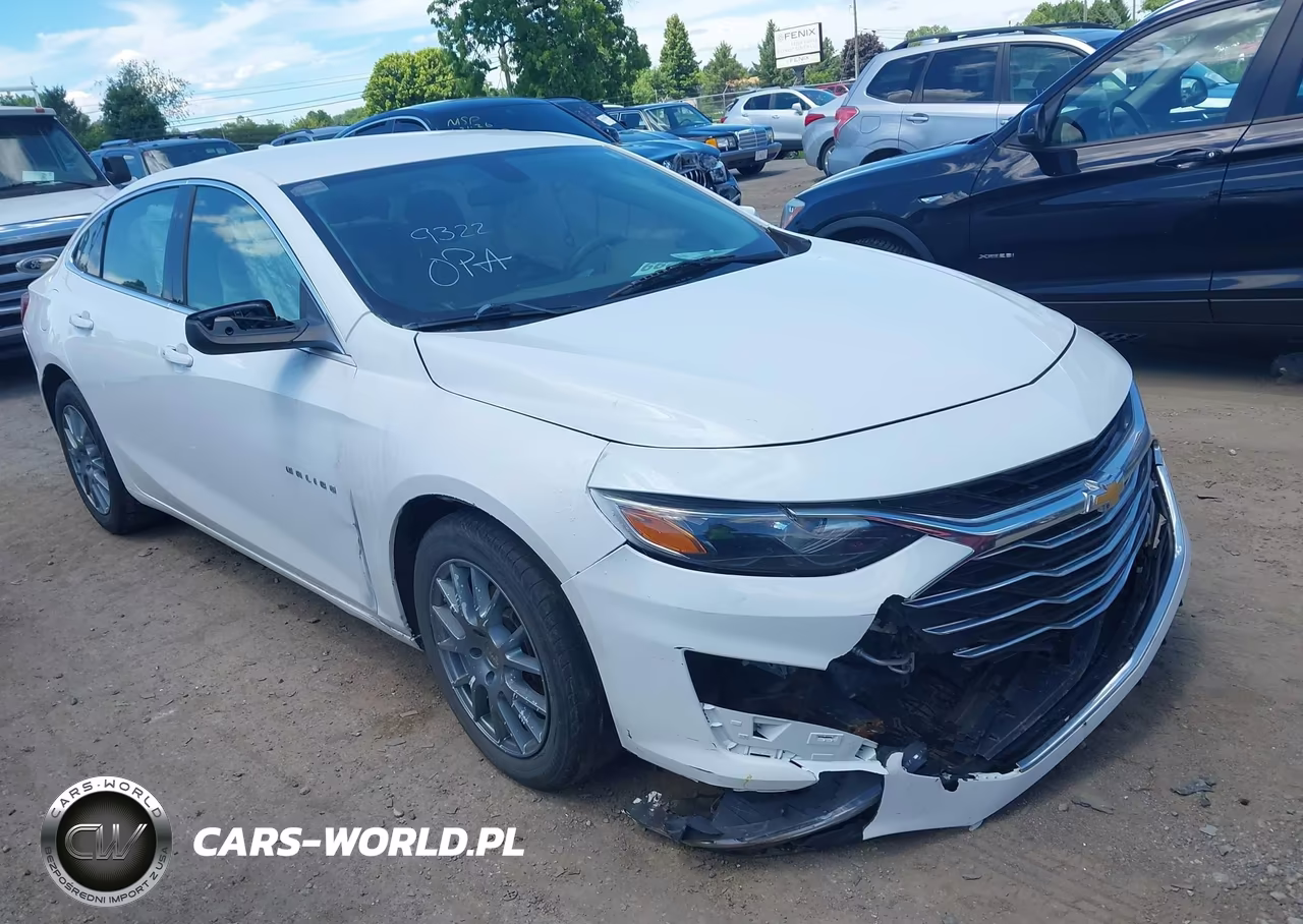 2019 Chevrolet Malibu Lt VIN:1G1ZD5ST0KF119322 - 13