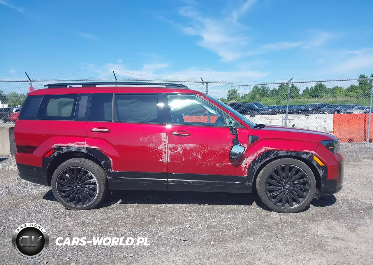 2024 Hyundai Santa Fe Calligraphy VIN:5NMP5DGL2RH030833 - 13
