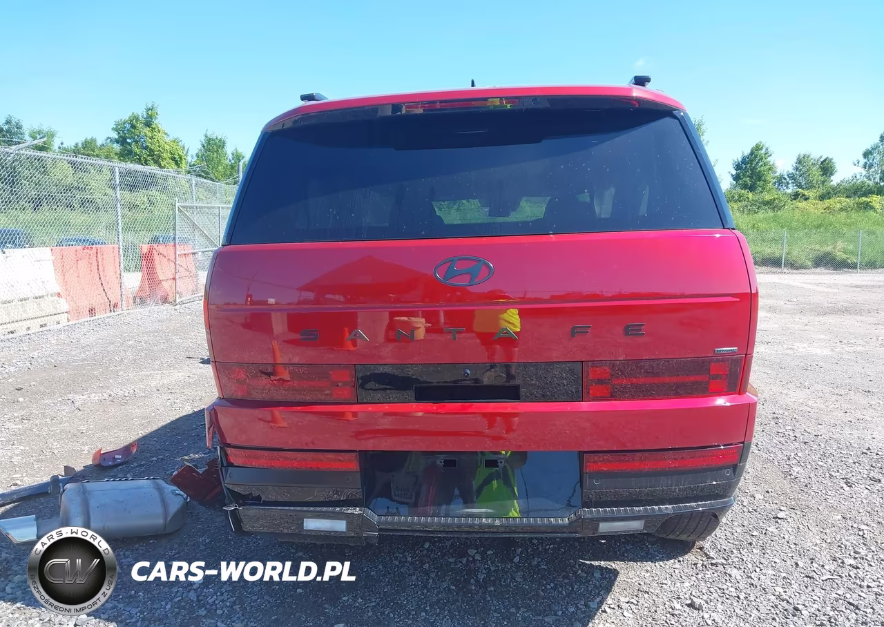 2024 Hyundai Santa Fe Calligraphy VIN:5NMP5DGL2RH030833 - 16