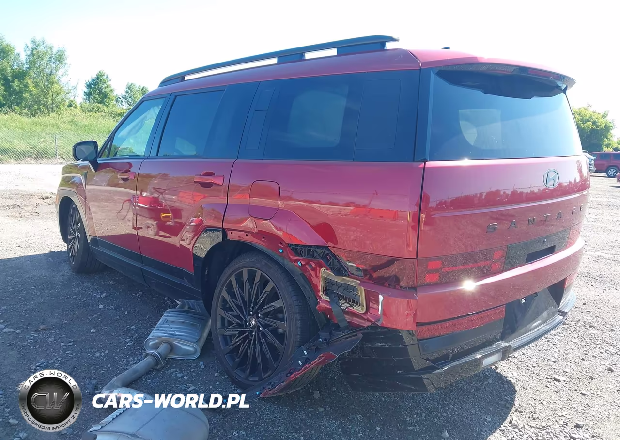 2024 Hyundai Santa Fe Calligraphy VIN:5NMP5DGL2RH030833 - 3