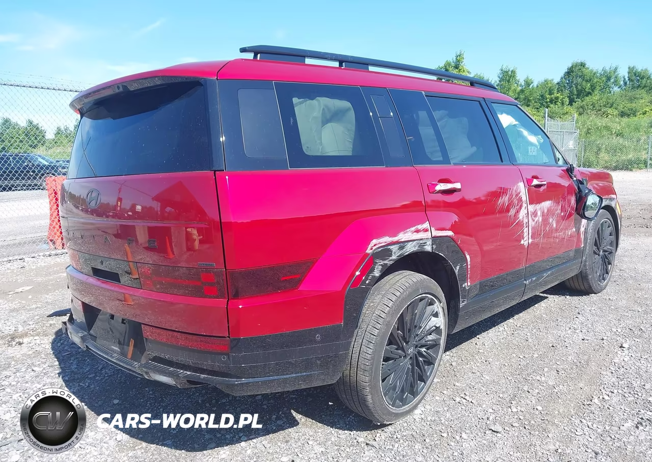 2024 Hyundai Santa Fe Calligraphy VIN:5NMP5DGL2RH030833 - 4