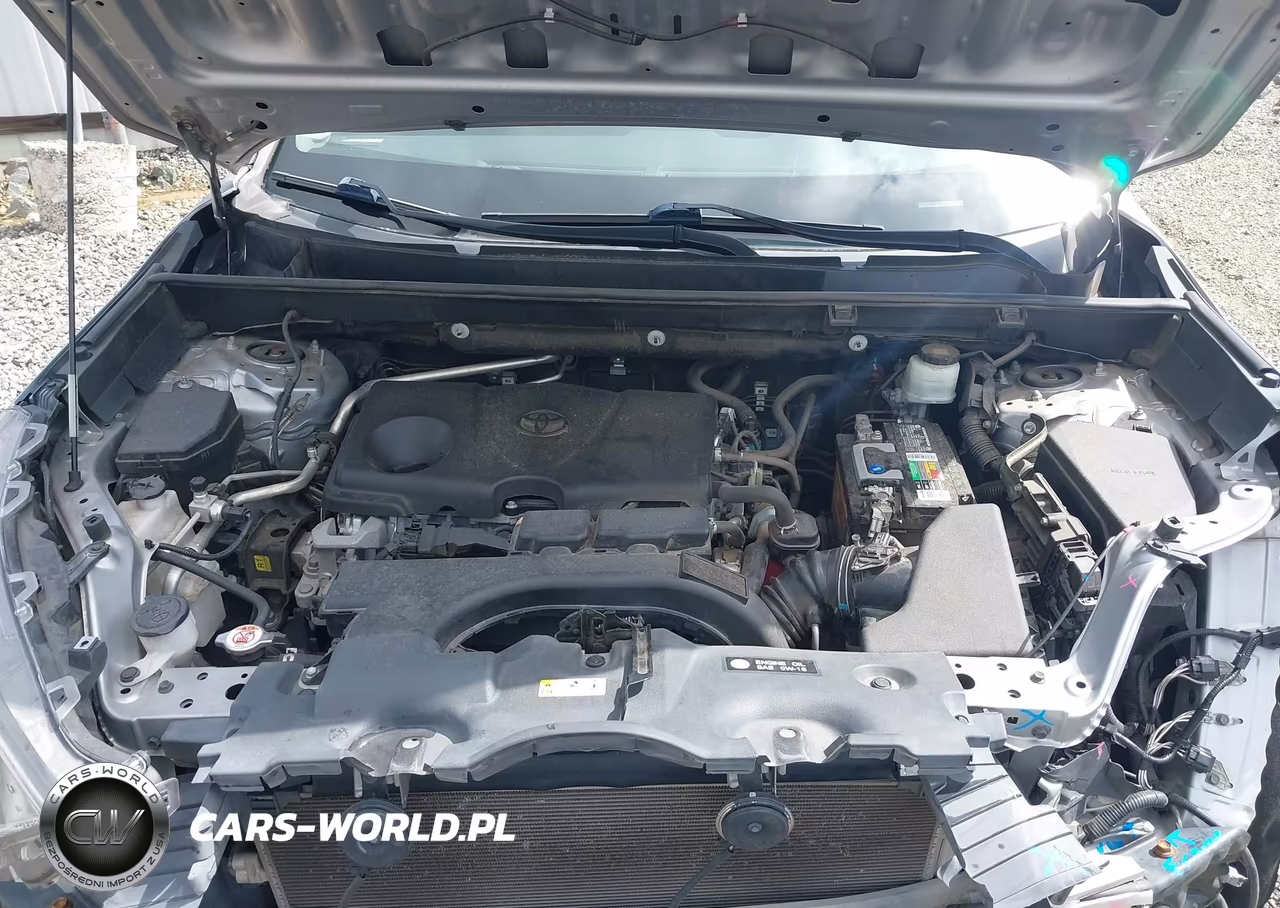 2019 Toyota Rav4 Xle Premium VIN:2T3C1RFV7KW004286 - 10