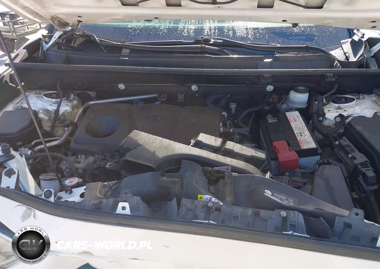2019 Toyota Rav4 Xle VIN:JTMP1RFVXKD509530 - 10