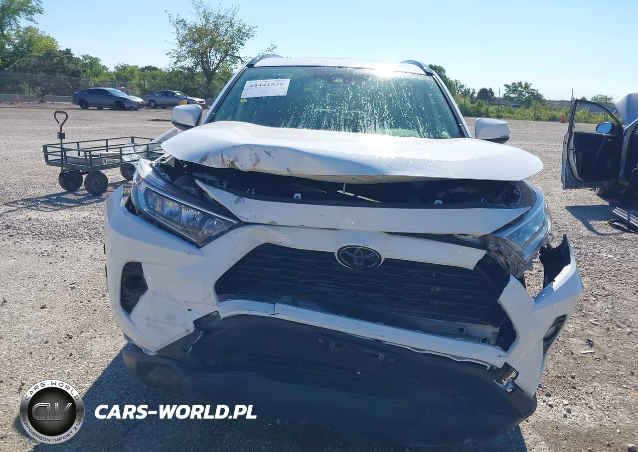 2019 Toyota Rav4 Xle VIN:JTMP1RFVXKD509530 - 6