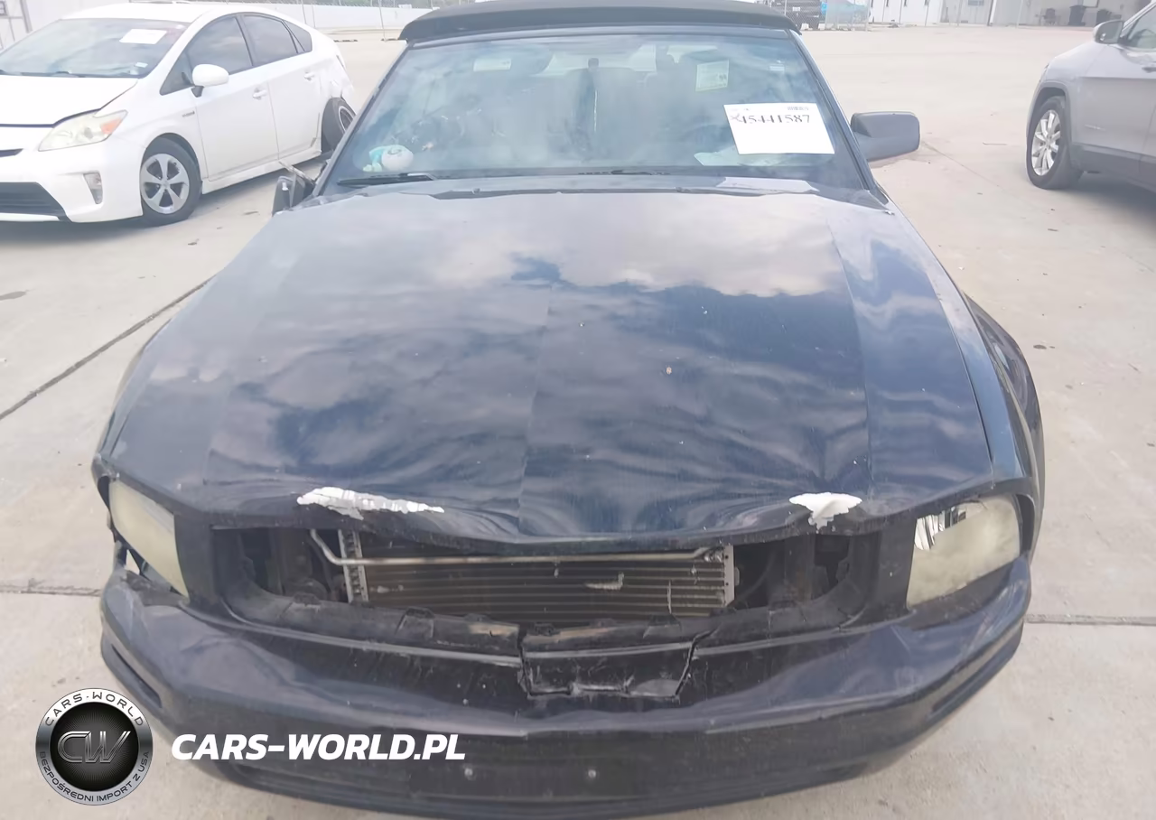 2007 Ford Mustang V6 Deluxe-V6 Premium VIN:1ZVFT84N575313805 - 6