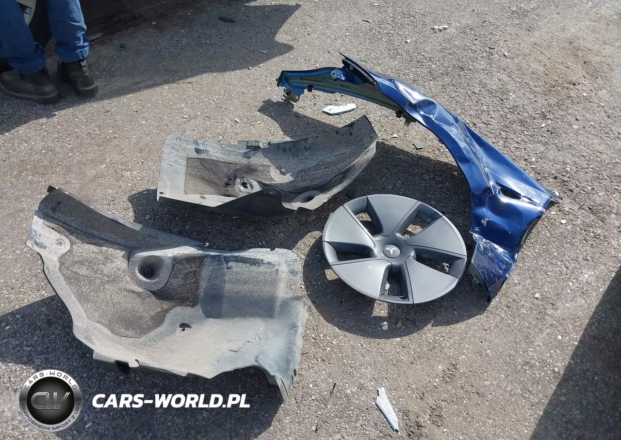 2023 Tesla Model 3 Long Range Dual Motor All-Wheel Drive VIN:5YJ3E1EB3PF392742 - 19