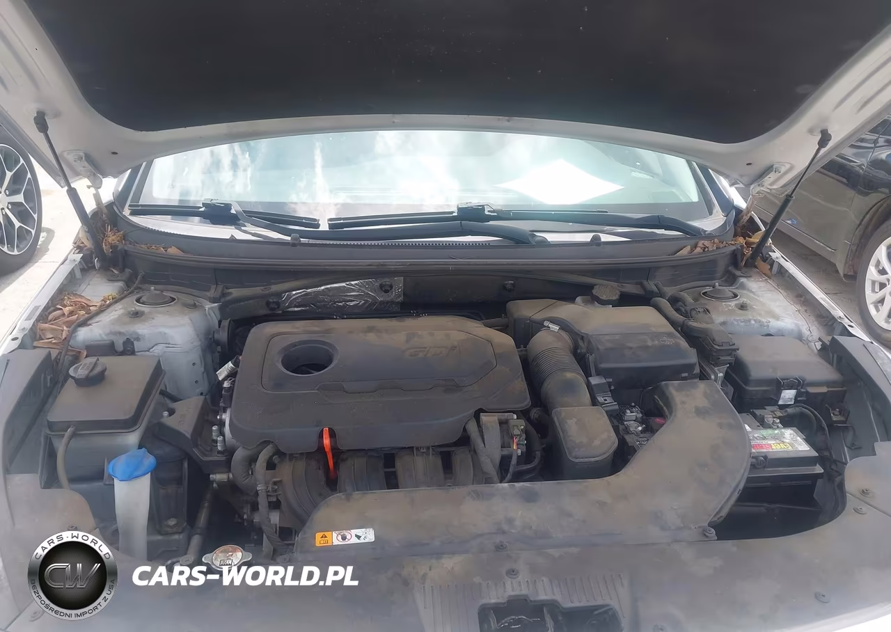 2015 Hyundai Sonata Sport VIN:5NPE34AF5FH059435 - 10