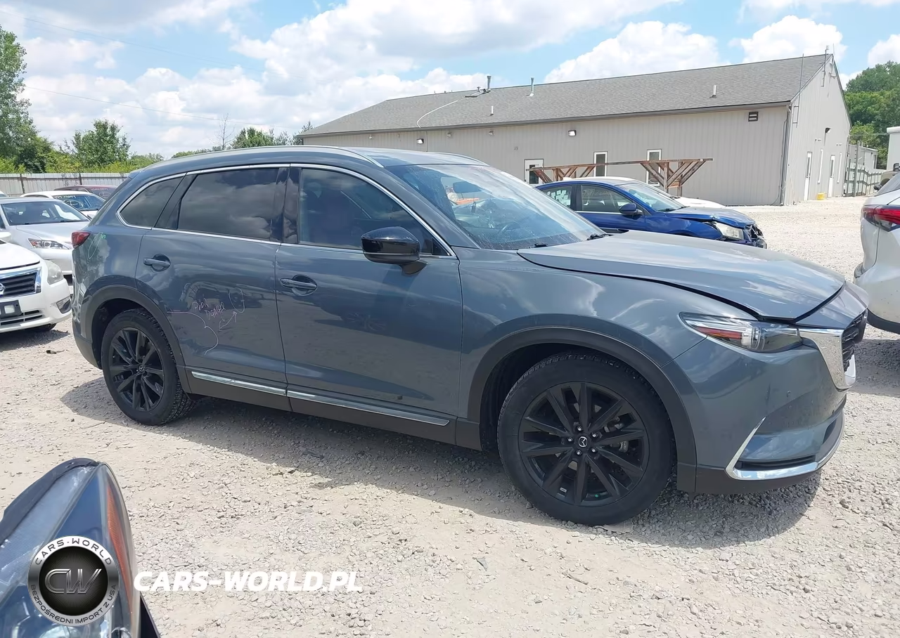 2021 Mazda Cx-9 Carbon Edition VIN:JM3TCBDY0M0506912 - 13