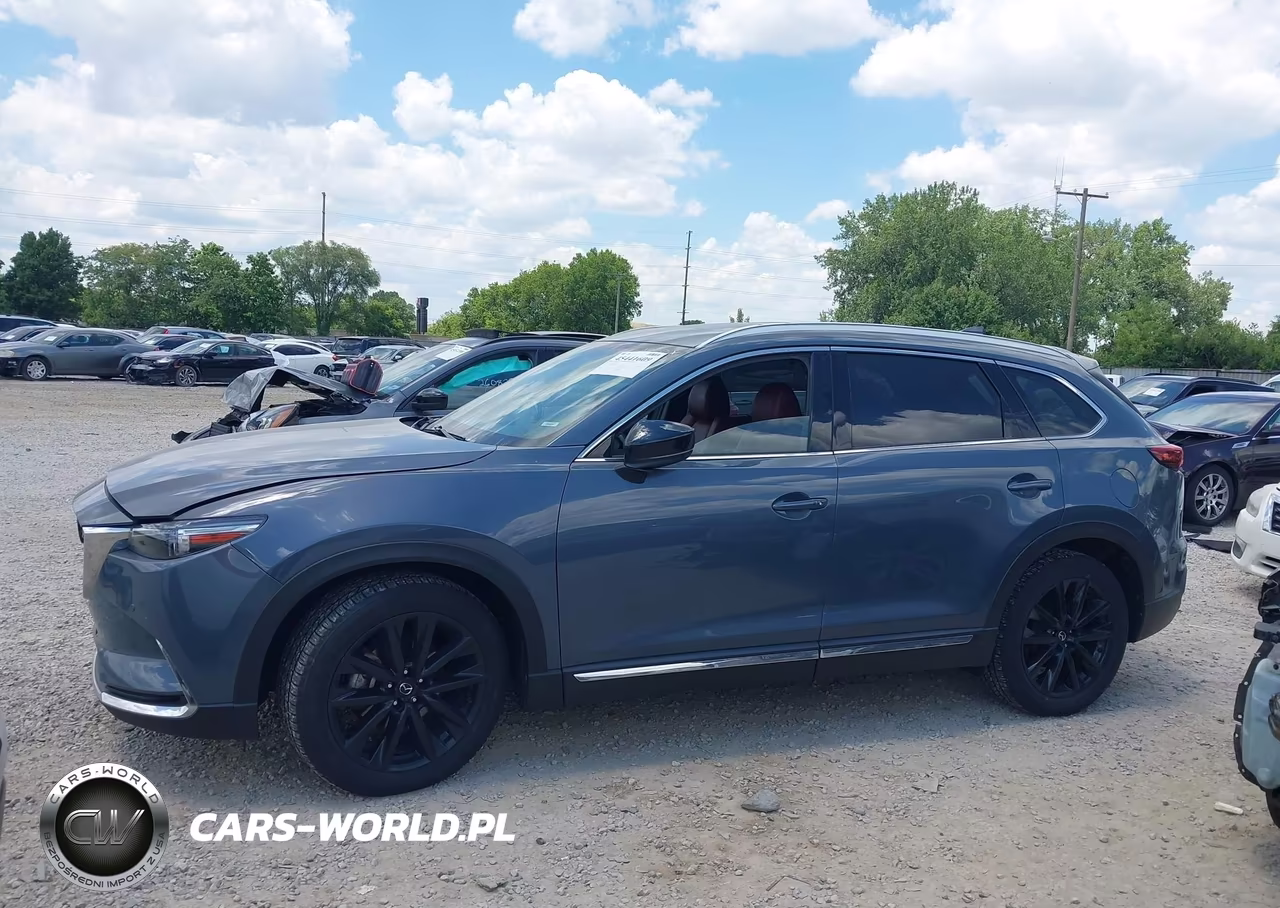 2021 Mazda Cx-9 Carbon Edition VIN:JM3TCBDY0M0506912 - 14