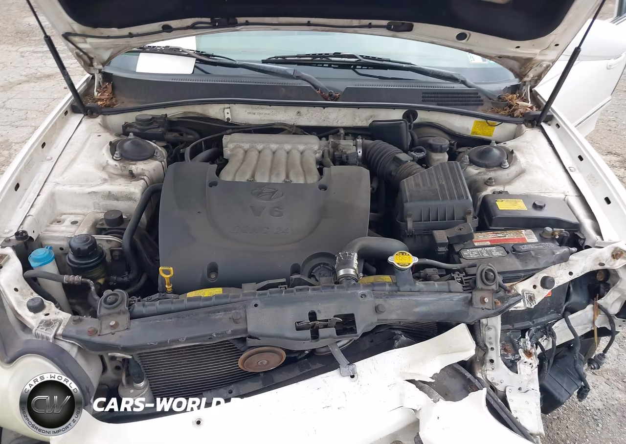 2003 Hyundai Sonata Gls-Lx VIN:KMHWF35H43A881241 - 10