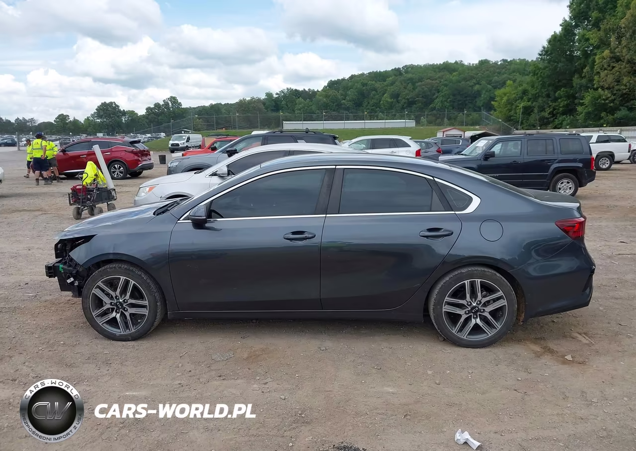 2019 Kia Forte Ex VIN:3KPF54AD7KE034662 - 15