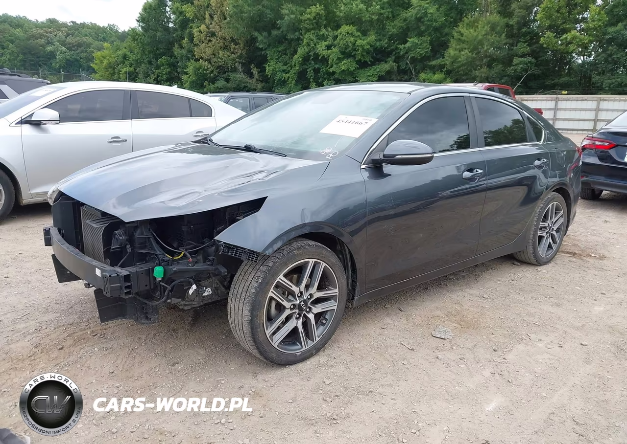 2019 Kia Forte Ex VIN:3KPF54AD7KE034662 - 2