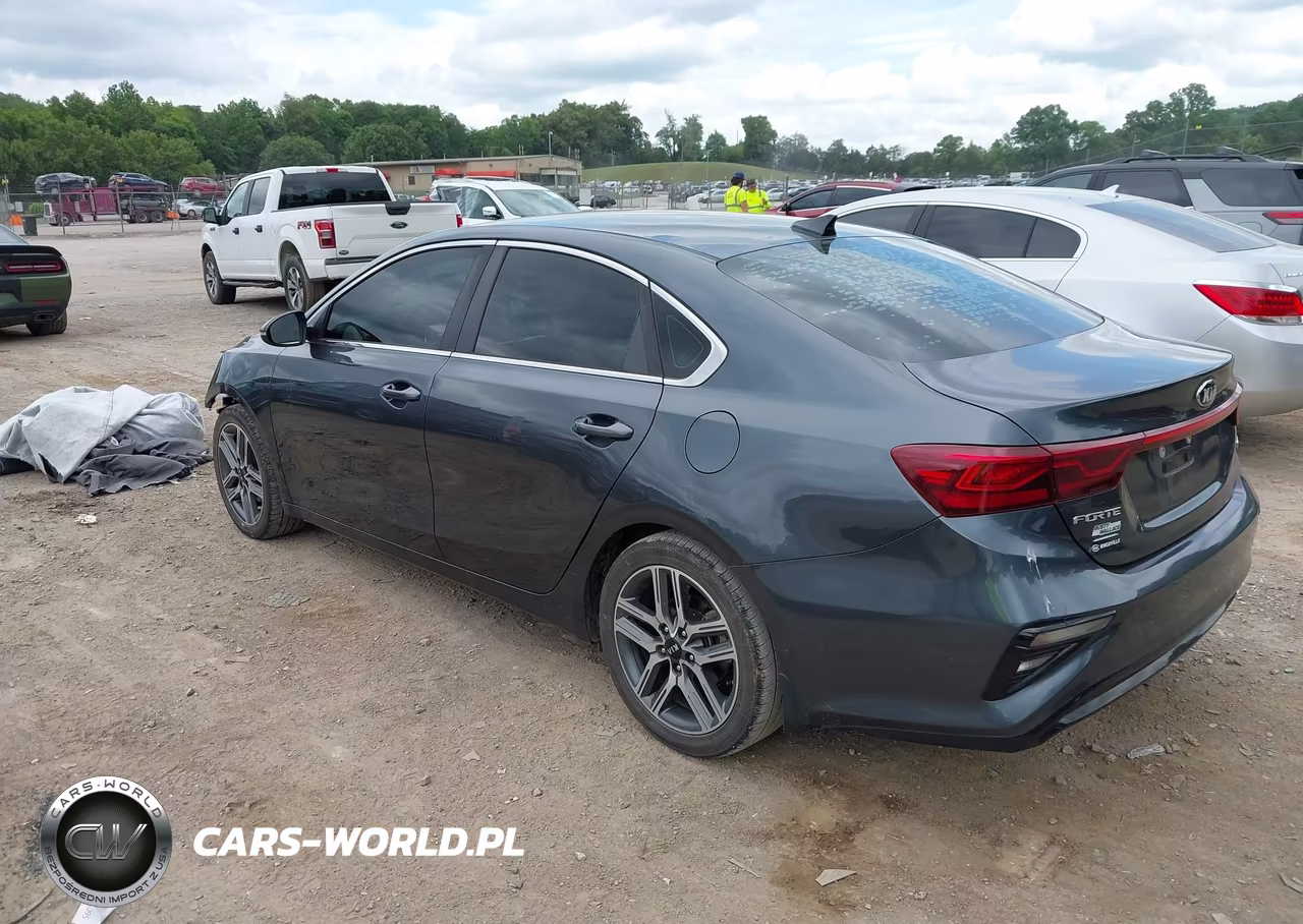 2019 Kia Forte Ex VIN:3KPF54AD7KE034662 - 3