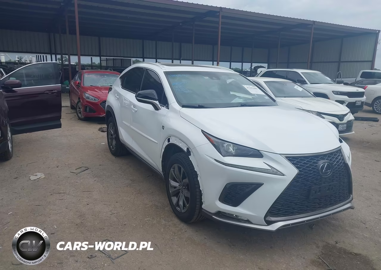 2019 Lexus Nx 300 F Sport