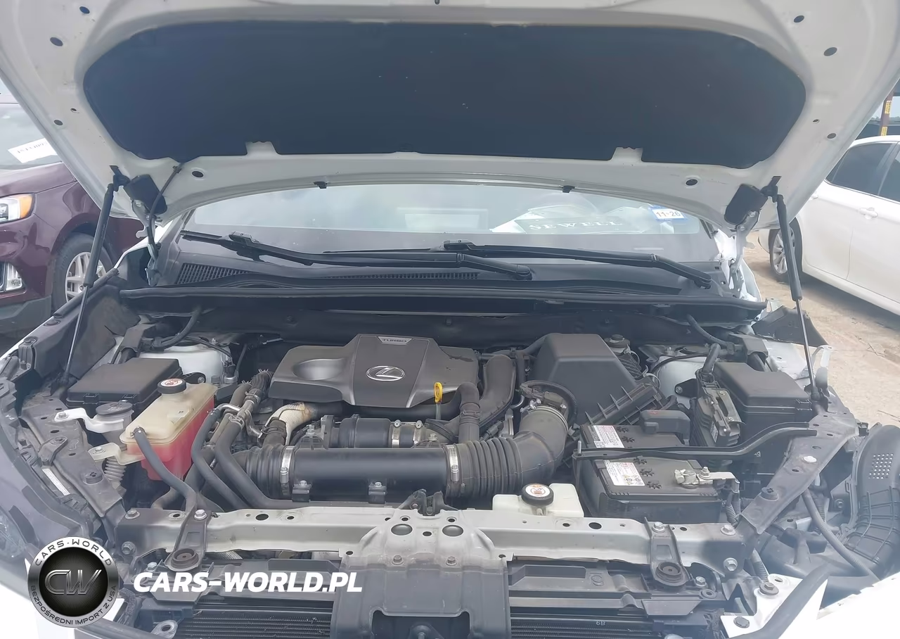 2019 Lexus Nx 300 F Sport VIN:JTJYARBZ1K2121169 - 10