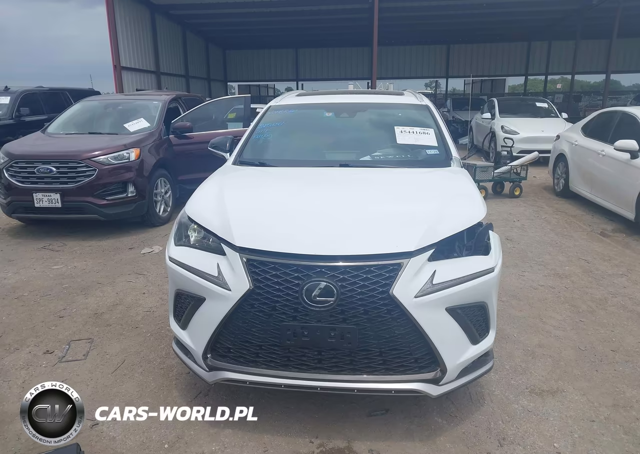 2019 Lexus Nx 300 F Sport VIN:JTJYARBZ1K2121169 - 11
