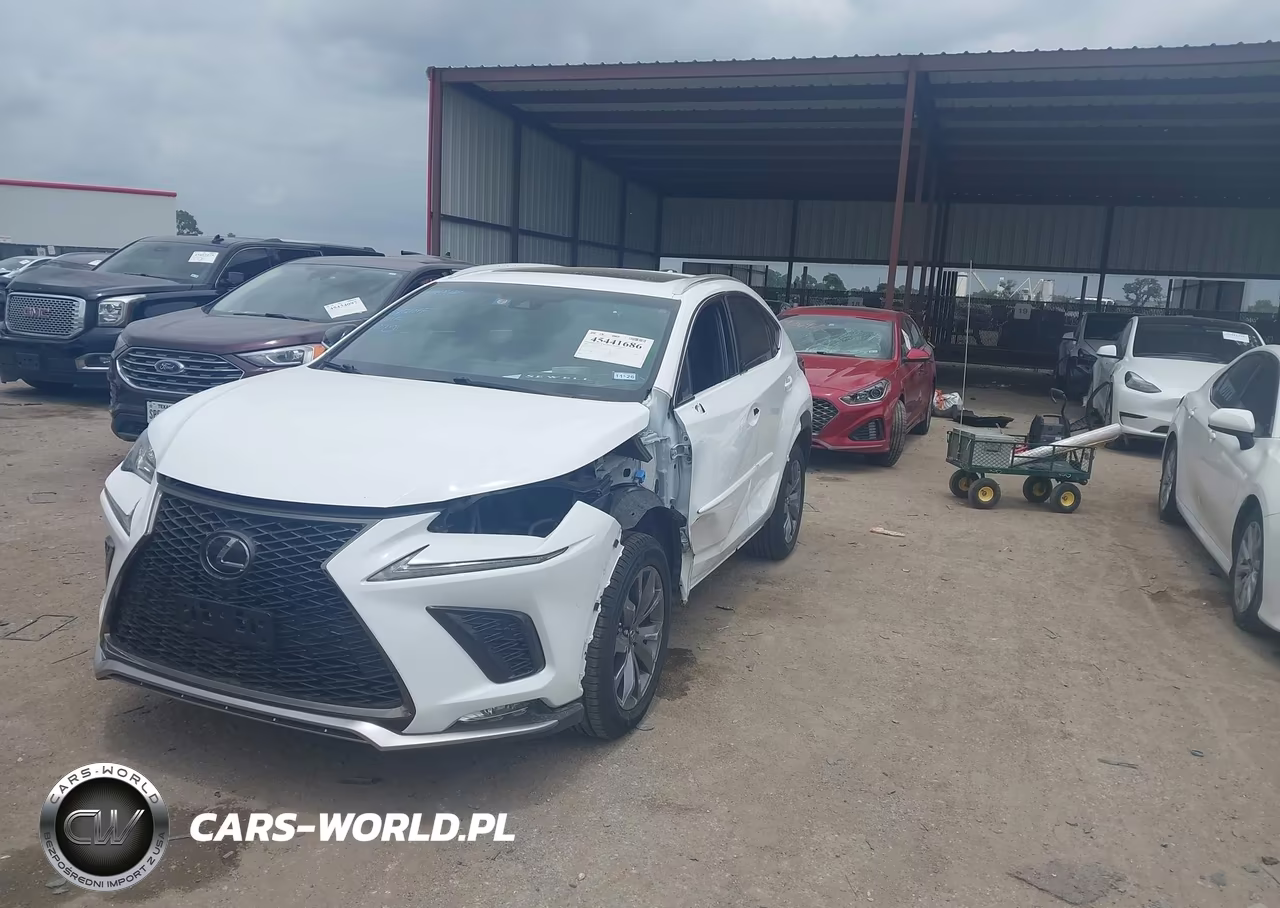 2019 Lexus Nx 300 F Sport VIN:JTJYARBZ1K2121169 - 2