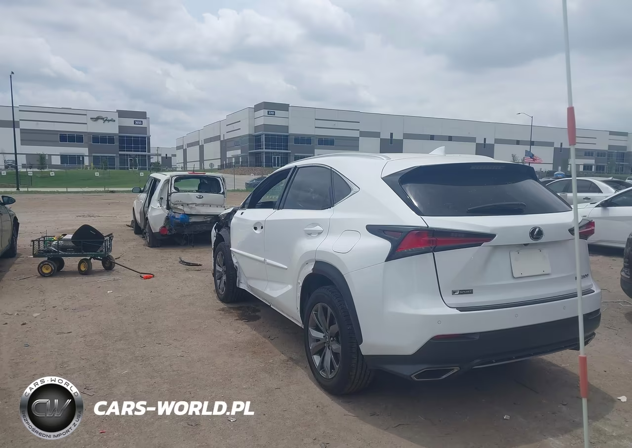 2019 Lexus Nx 300 F Sport VIN:JTJYARBZ1K2121169 - 3