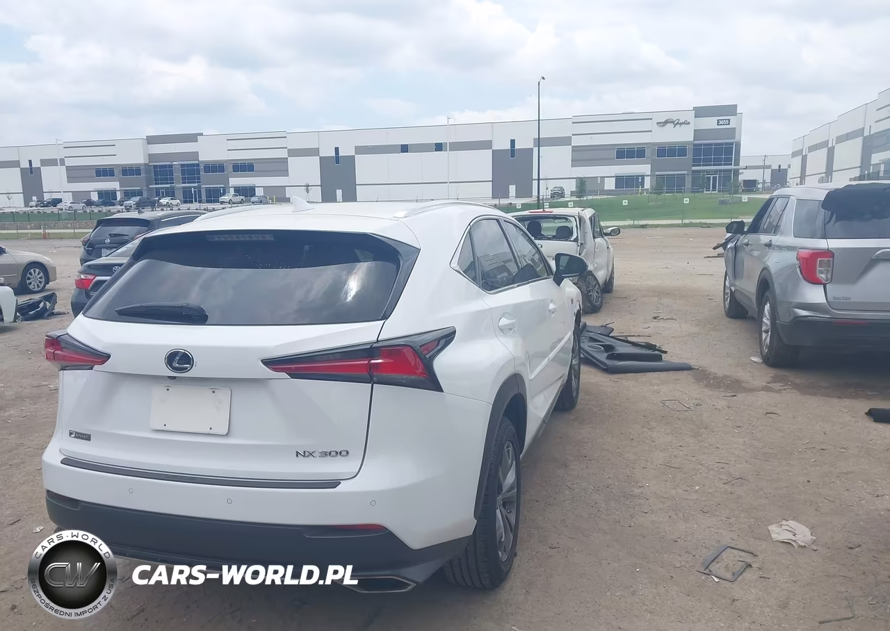 2019 Lexus Nx 300 F Sport VIN:JTJYARBZ1K2121169 - 4