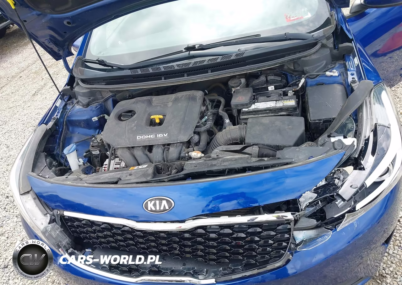 2018 Kia Forte Lx VIN:3KPFK4A76JE269684 - 10