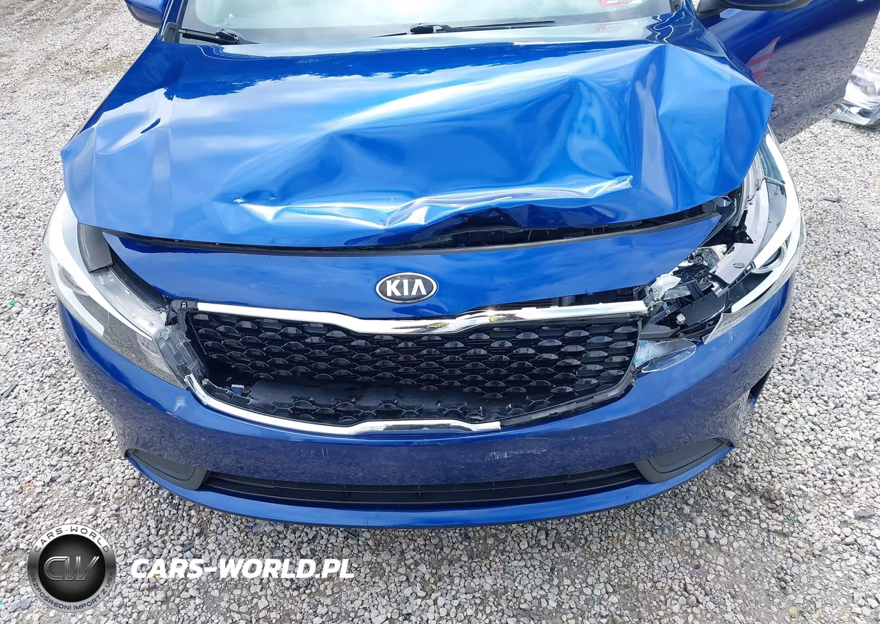 2018 Kia Forte Lx VIN:3KPFK4A76JE269684 - 6
