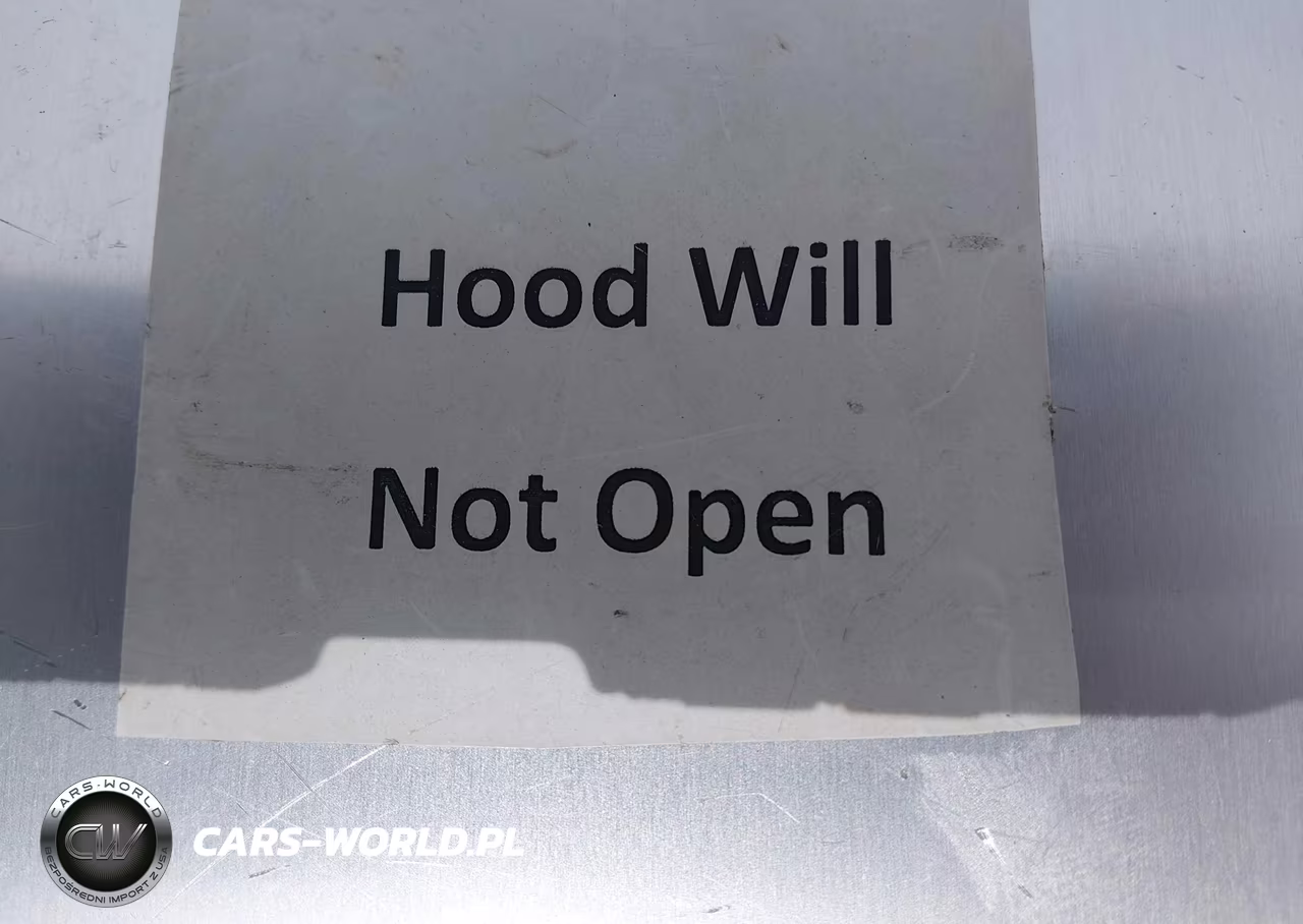 2014 Ford Focus Titanium VIN:1FADP3N22EL449796 - 10