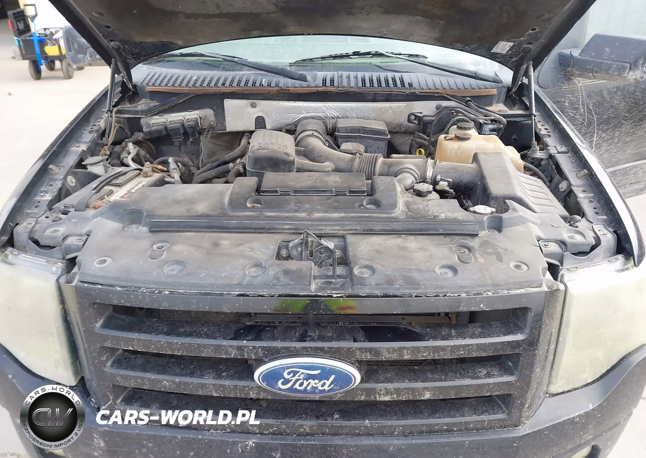 2010 Ford Expedition El Limited VIN:1FMJK2A57AEB52524 - 10