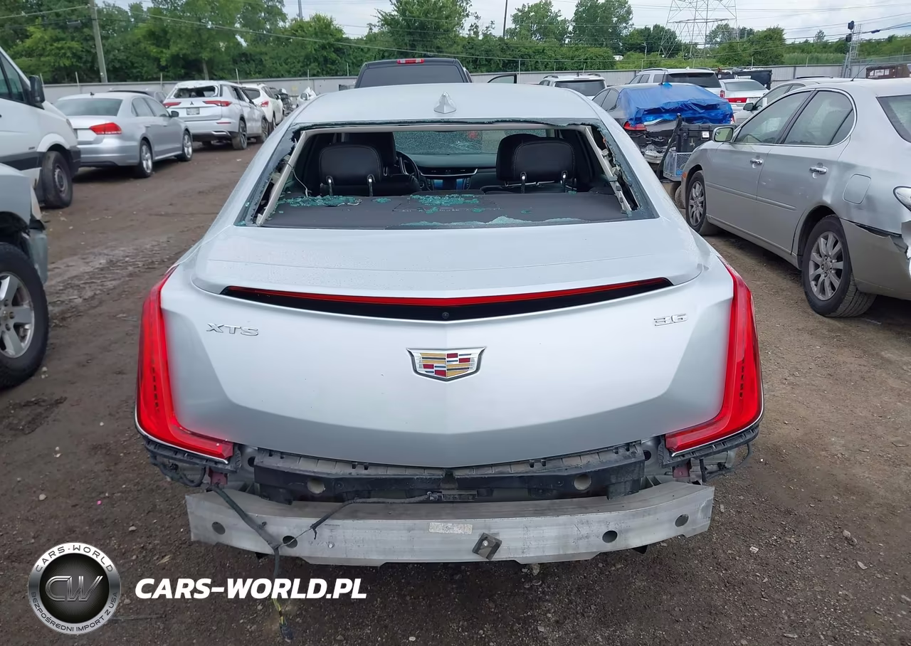 2019 Cadillac Xts Luxury VIN:2G61M5S3XK9138220 - 17