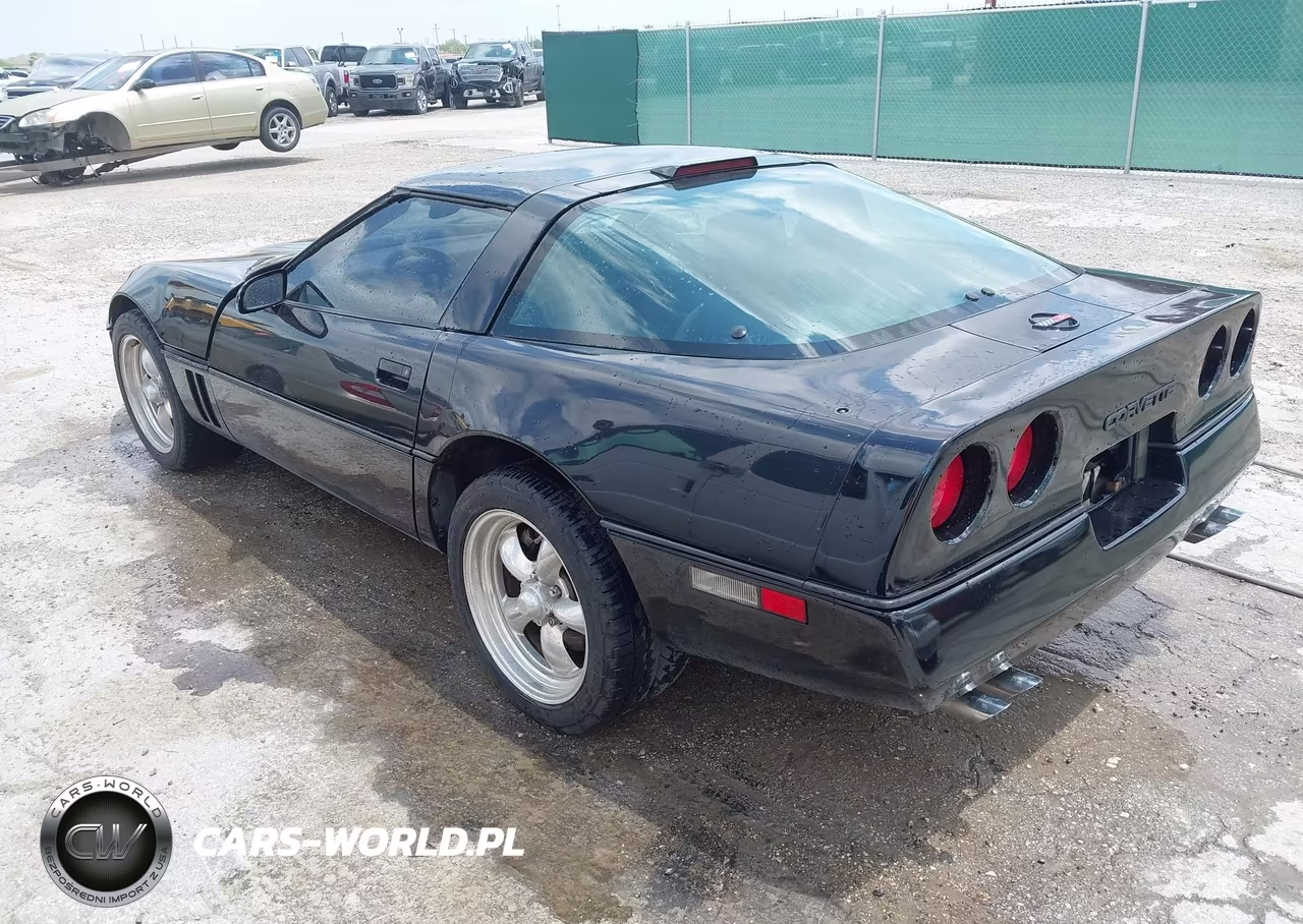 1989 Chevrolet Corvette VIN:1G1YY2184K5109989 - 3
