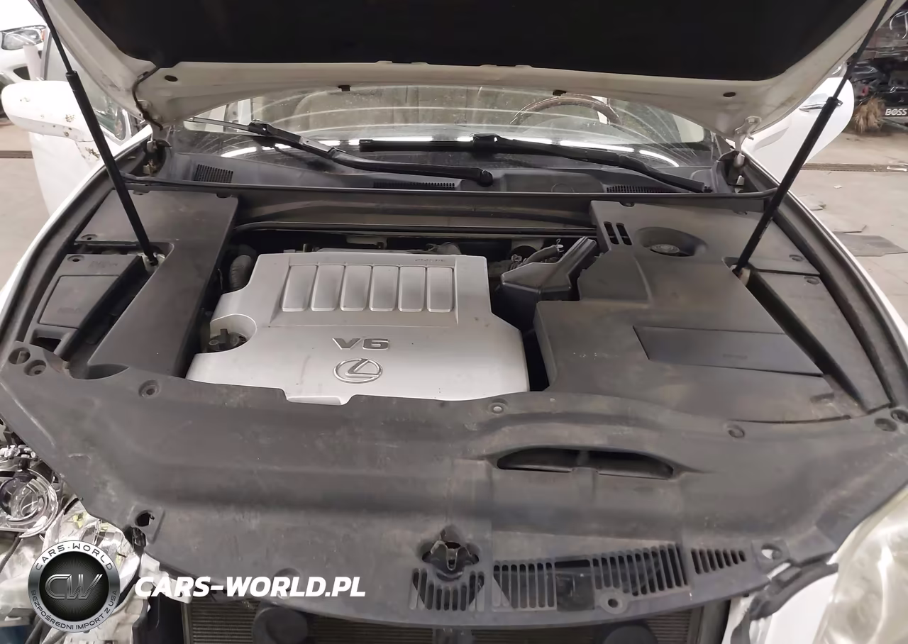 2009 Lexus Es 350 VIN:JTHBJ46GX92289180 - 10