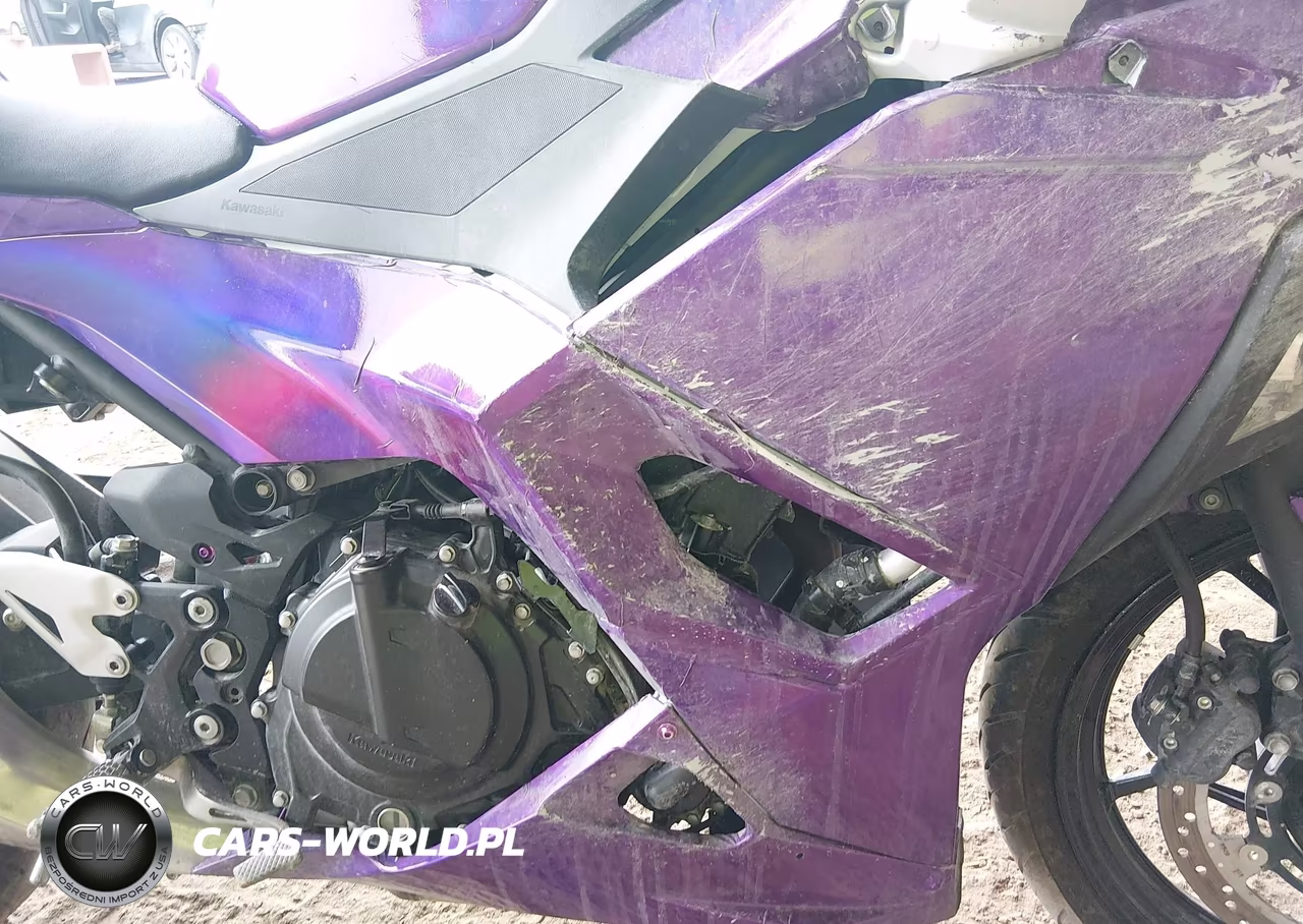 2025 Kawasaki Ex500 H VIN:ML5EXGH15SDA62090 - 8
