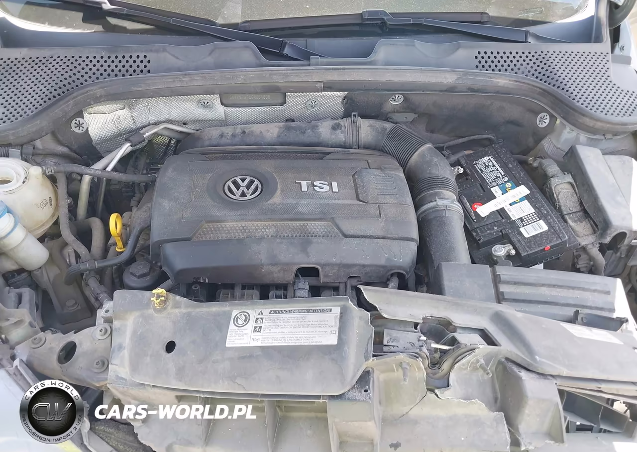 2014 Volkswagen Beetle 2.0T R-Line VIN:3VWVS7ATXEM631308 - 10