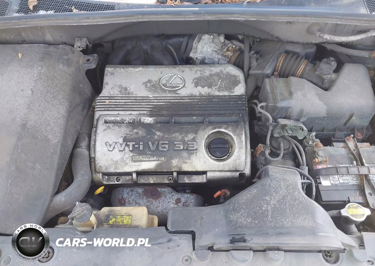 2005 Lexus Rx 330 VIN:2T2HA31U65C046248 - 10