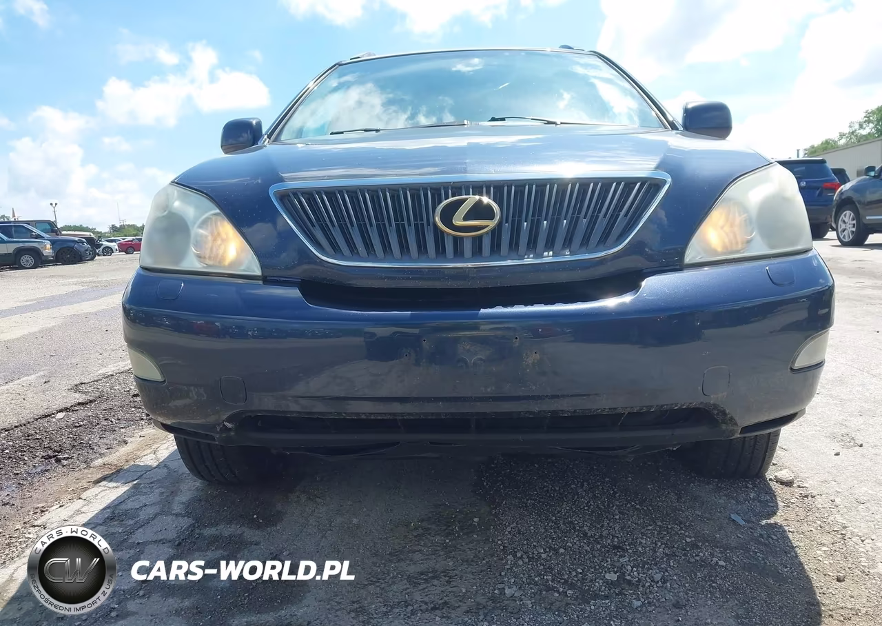 2005 Lexus Rx 330 VIN:2T2HA31U65C046248 - 13