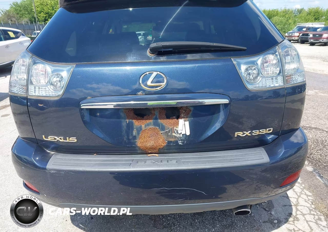 2005 Lexus Rx 330 VIN:2T2HA31U65C046248 - 15