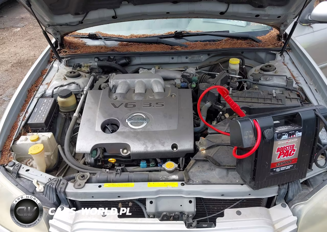 2003 Nissan Maxima Se VIN:JN1DA31D23T500894 - 10