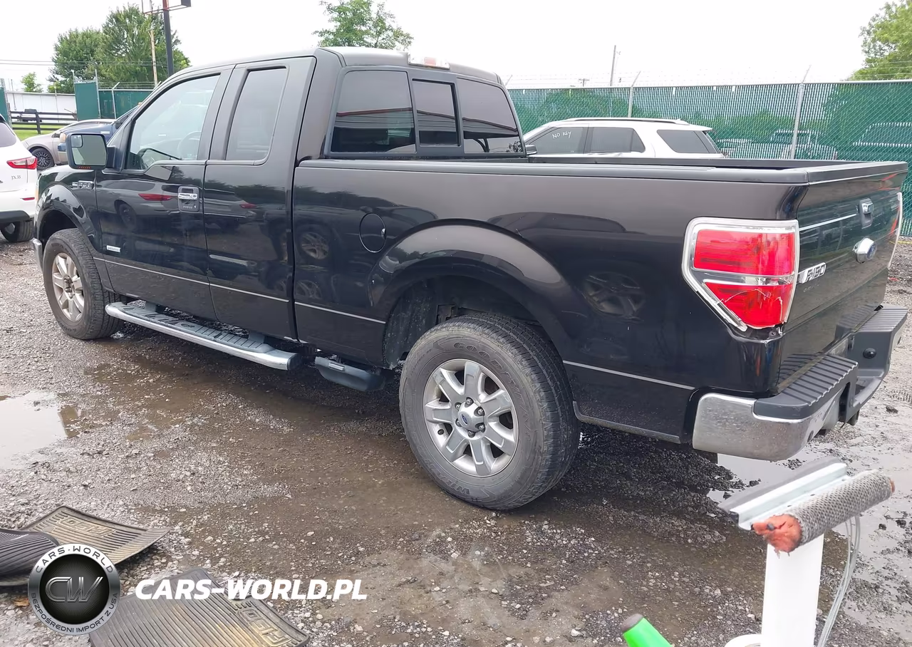 2013 Ford F-150 Fx2-Lariat-Xl-Xlt VIN:1FTFX1CT8DFD02284 - 3