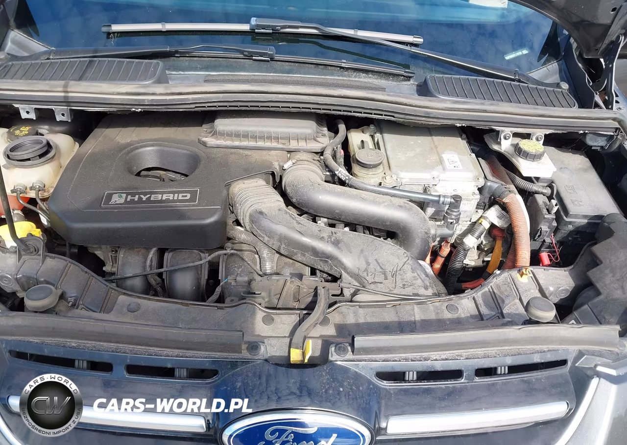 2015 Ford C-Max Hybrid Sel VIN:1FADP5BUXFL118130 - 10