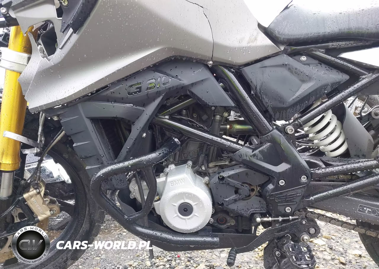 2019 BMW G310 Gs VIN:WB30G1205KR826294 - 9
