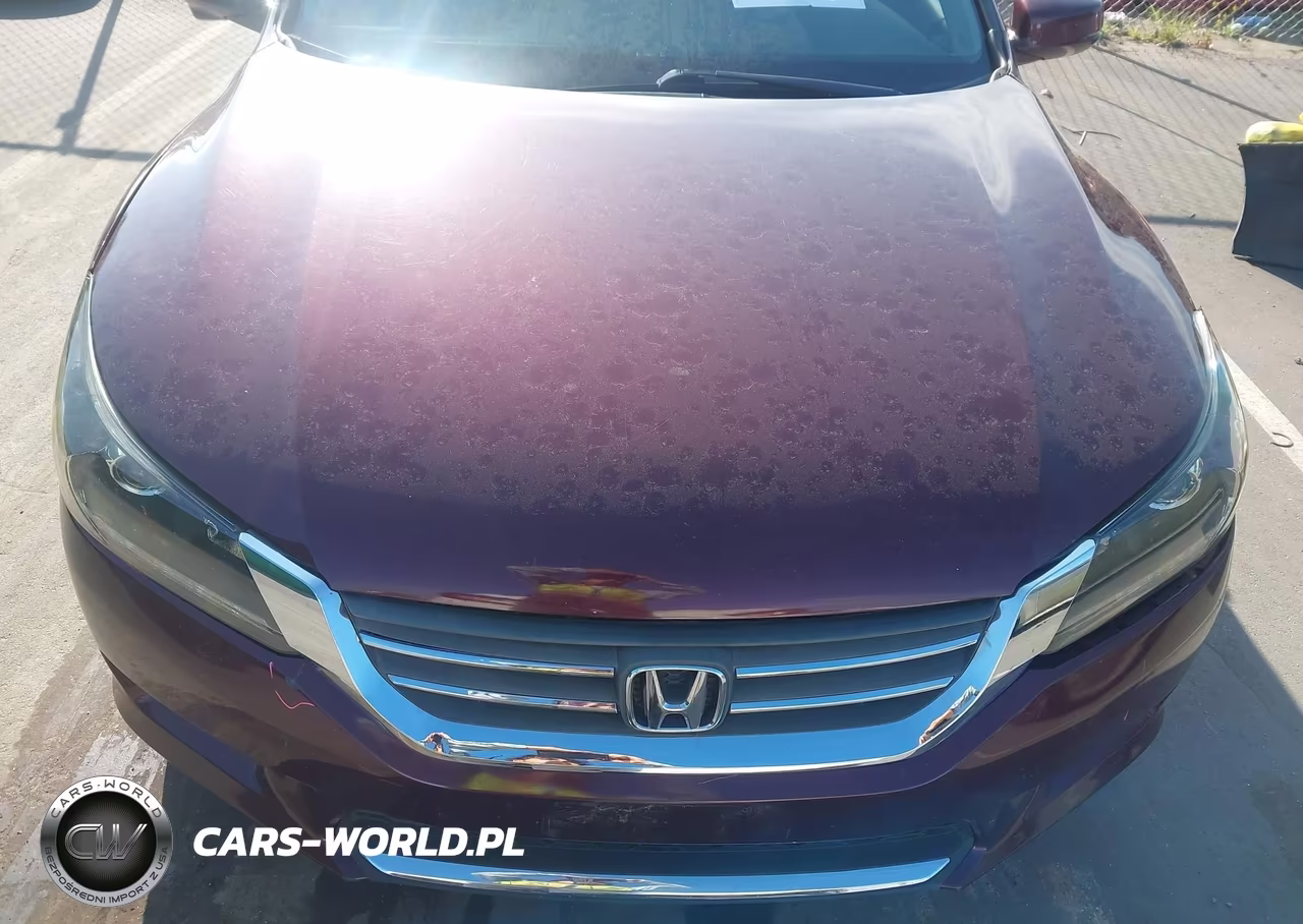 2013 Honda Accord Ex VIN:1HGCR2F76DA201955 - 13