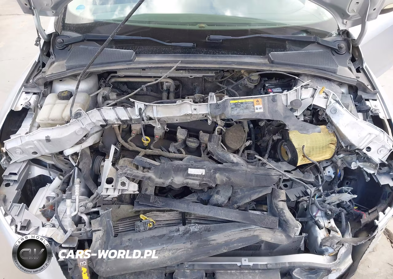 2014 Ford Focus Se VIN:1FADP3F29EL223978 - 10
