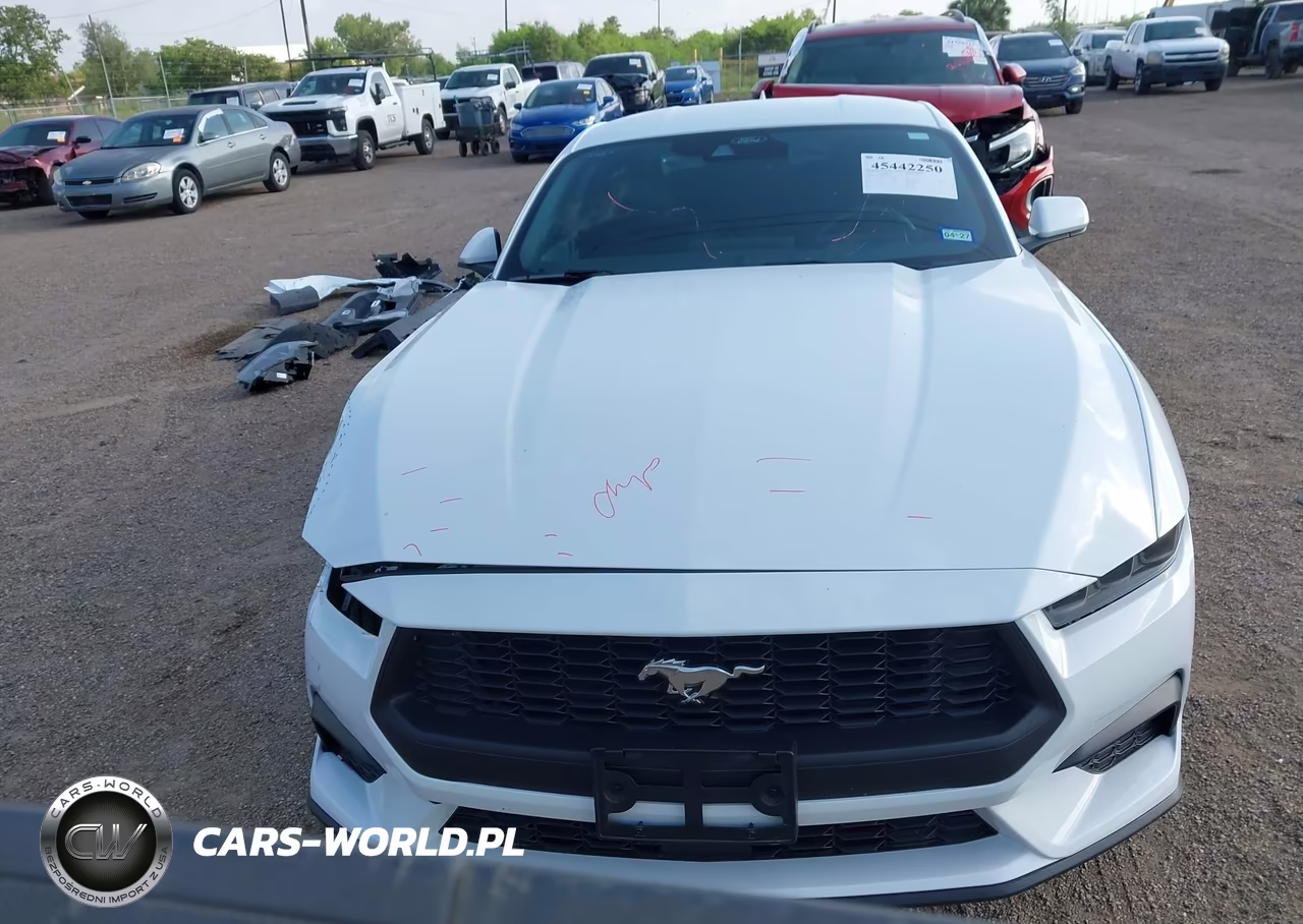 2025 Ford Mustang Ecoboost Fastback VIN:1FA6P8TH0S5112590 - 13