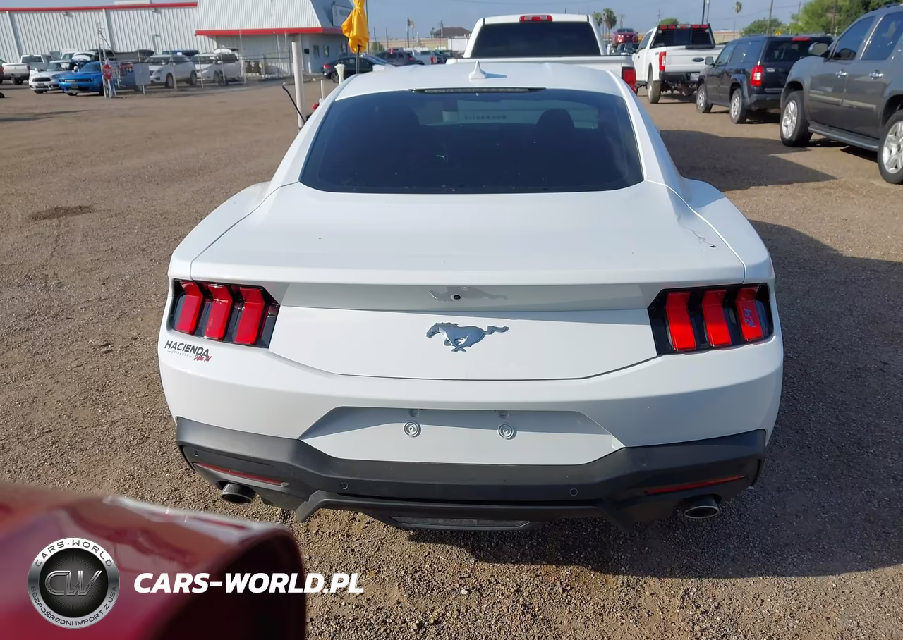 2025 Ford Mustang Ecoboost Fastback VIN:1FA6P8TH0S5112590 - 17