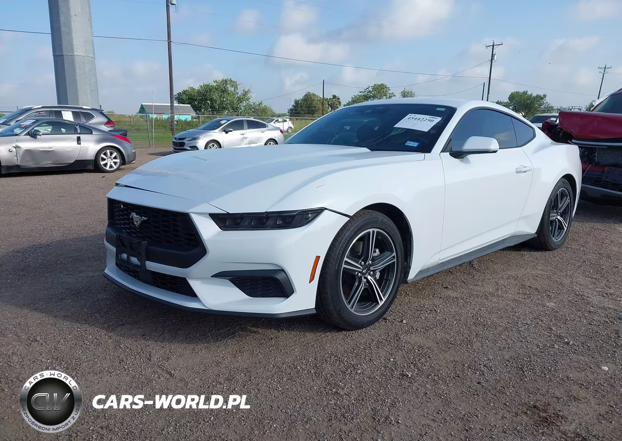 2025 Ford Mustang Ecoboost Fastback VIN:1FA6P8TH0S5112590 - 2