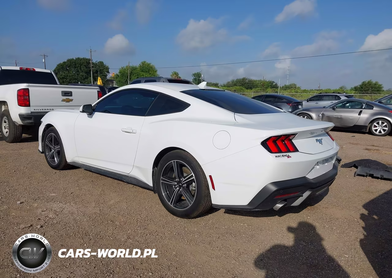2025 Ford Mustang Ecoboost Fastback VIN:1FA6P8TH0S5112590 - 3