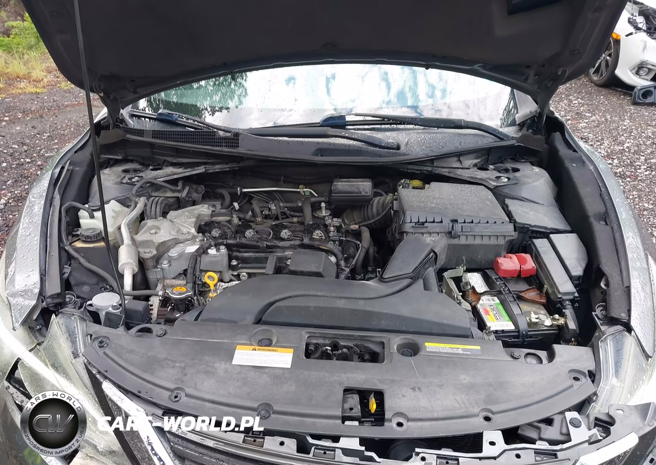 2016 Nissan Altima 2.5 Sv VIN:1N4AL3AP6GC212361 - 10